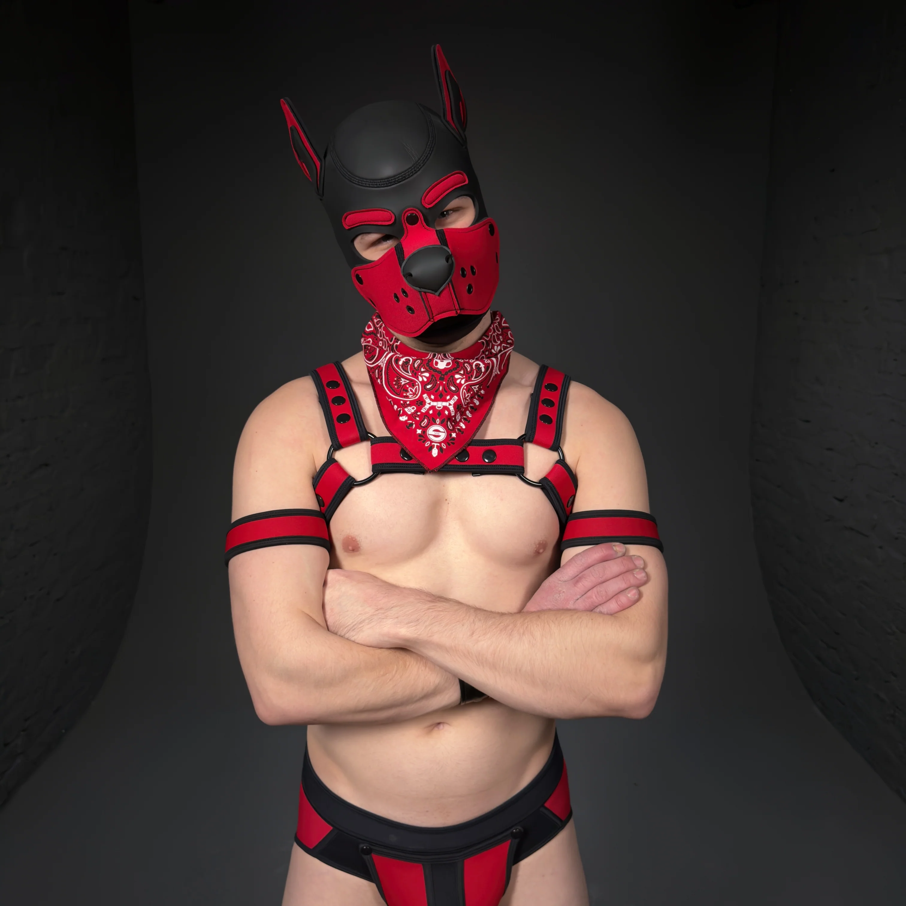 MR-S NEOPRENE CARBON BULLDOG HARNESS RED - Image 3